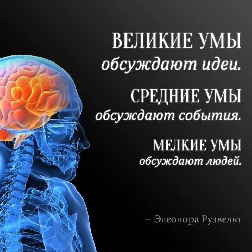 Профиль
