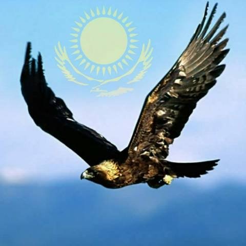 Профиль