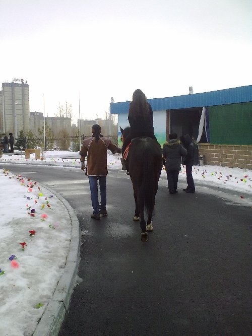 Профиль