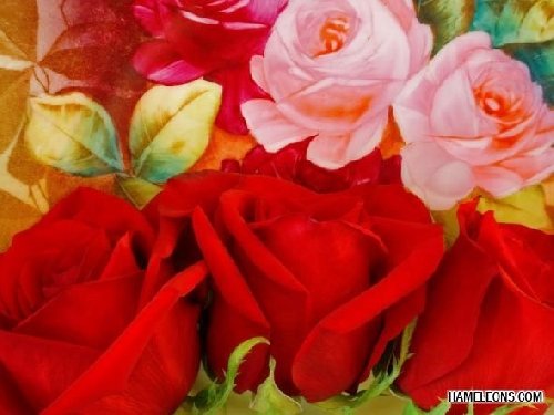 Профиль
