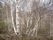 Профиль
