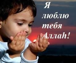Профиль