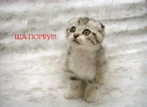 Профиль