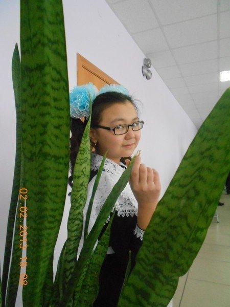 Профиль
