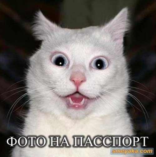 Профиль