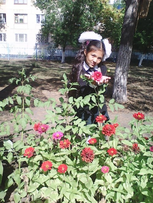 Профиль