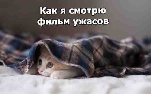 Профиль