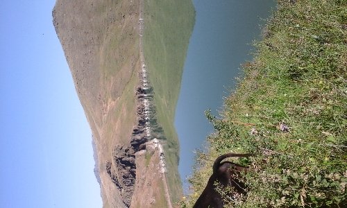 Профиль