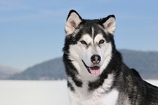 Профиль