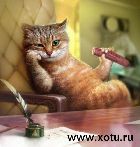 Профиль