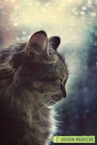 Профиль