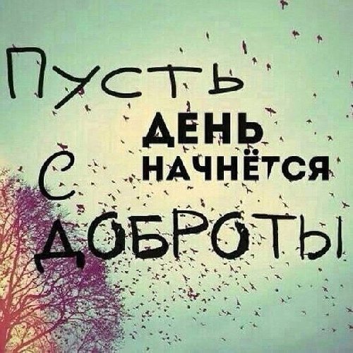 Профиль