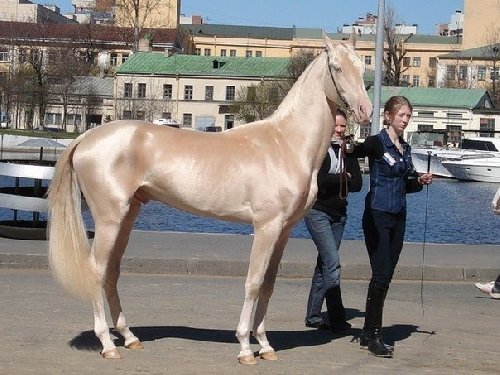 Профиль