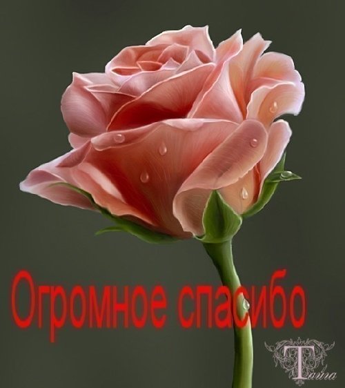 Профиль