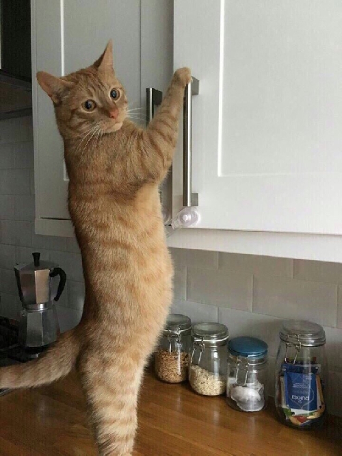 Профиль