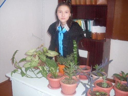 Профиль