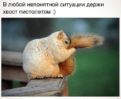 Профиль