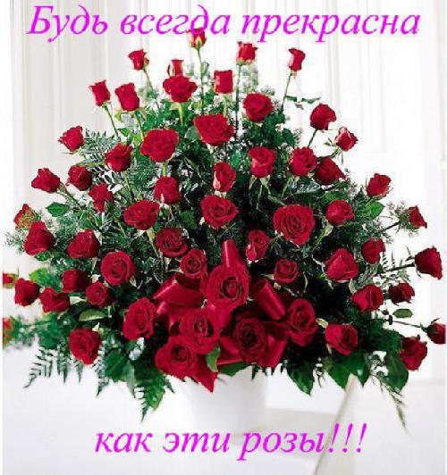 Профиль