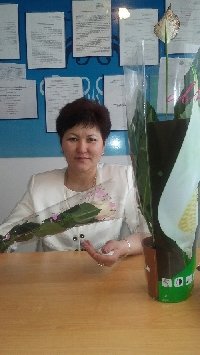 Профиль