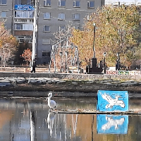 Профиль