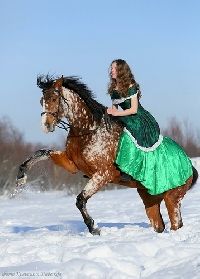 Профиль