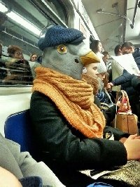 Профиль