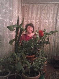 Профиль