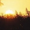 Профиль