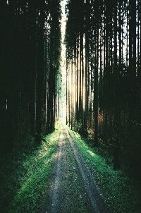 Профиль