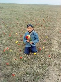 Профиль