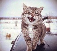 Профиль