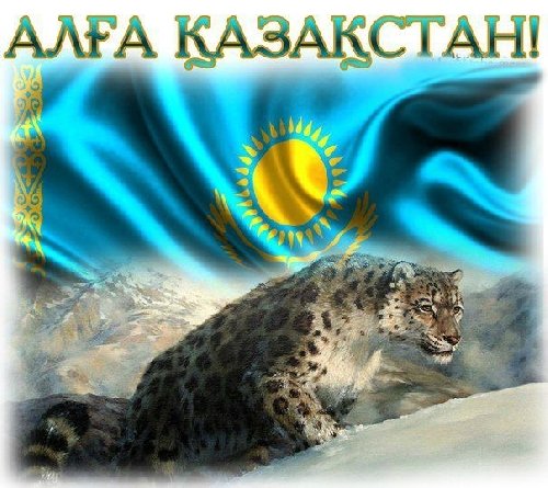 Профиль