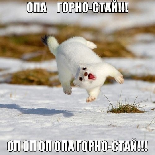 Профиль