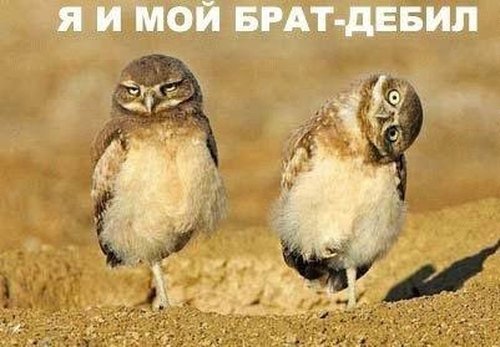 Профиль