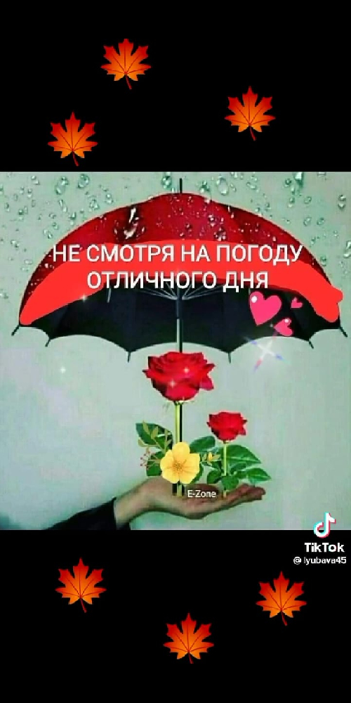 Профиль