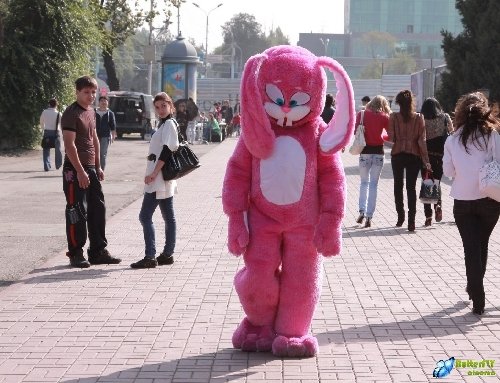 Профиль