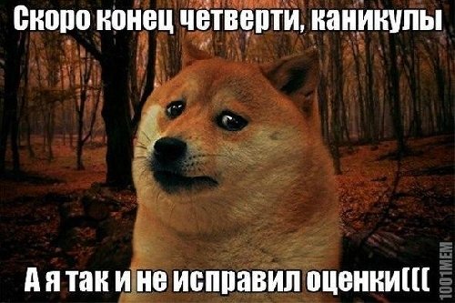 Профиль